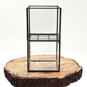 Hydro Terrarium Cactus Succulents - Small  10¹² Terra Made in Japan